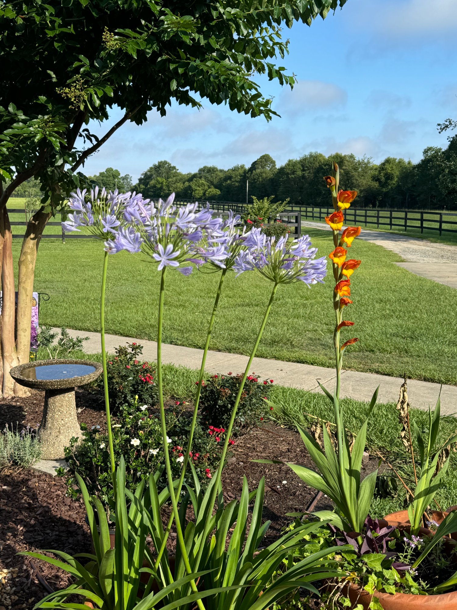 Landscaped gardens with pasture views