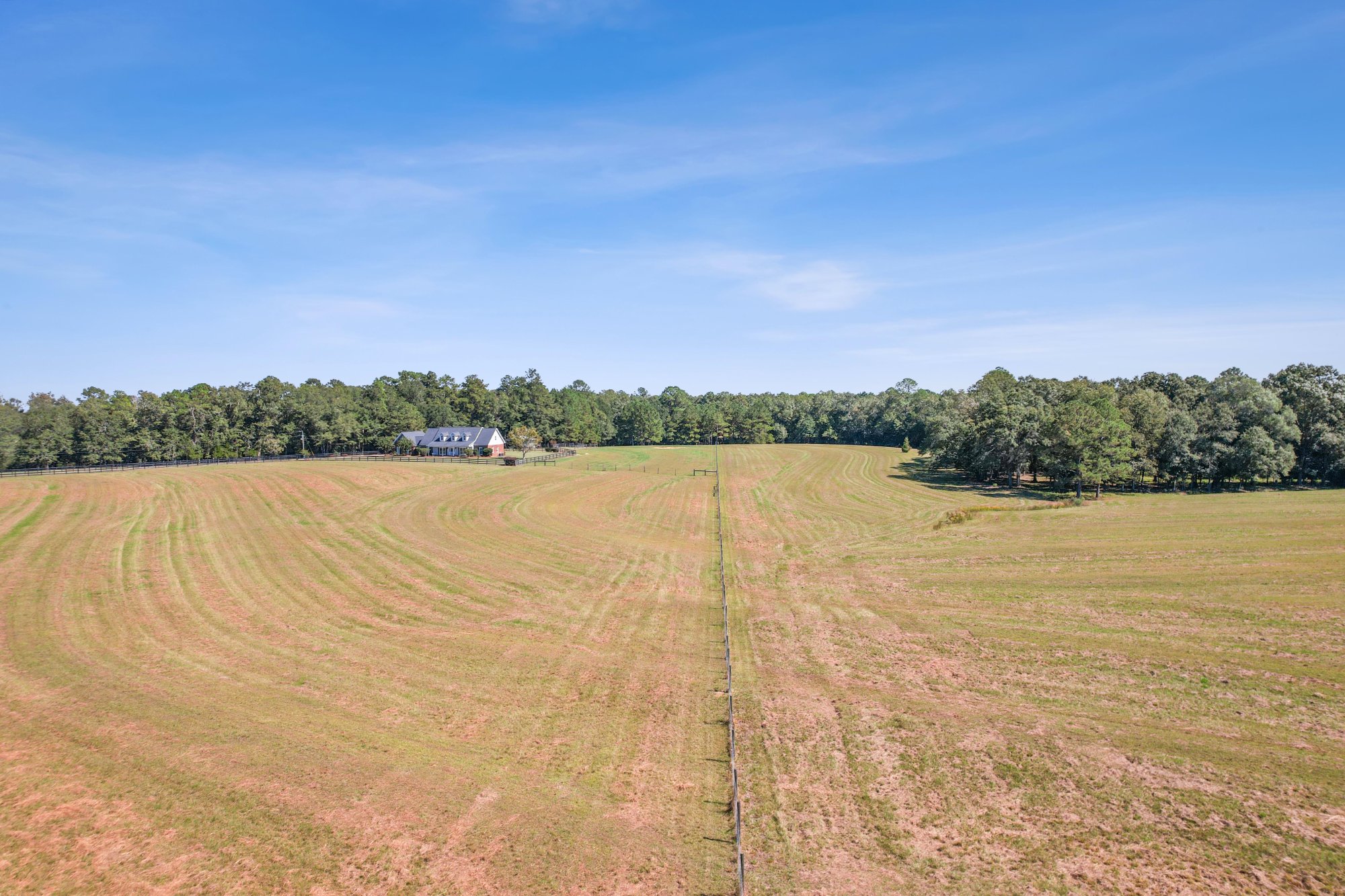 Rolling pastures with mature tree line